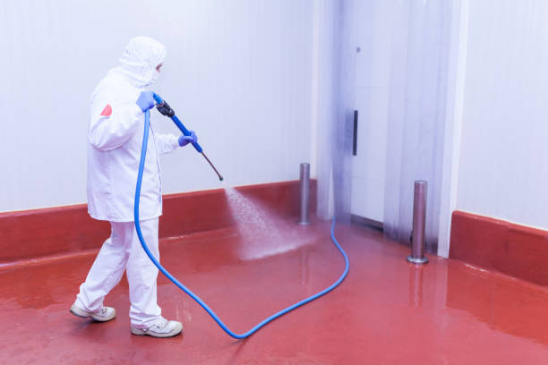 Best Soft Washing  in Irwin, PA